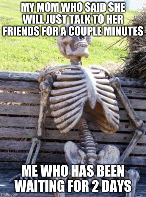 true | MY MOM WHO SAID SHE WILL JUST TALK TO HER FRIENDS FOR A COUPLE MINUTES; ME WHO HAS BEEN WAITING FOR 2 DAYS | image tagged in memes,waiting skeleton | made w/ Imgflip meme maker