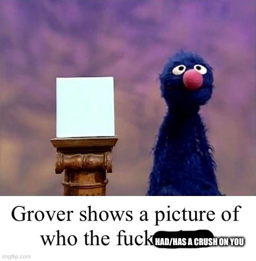Grover: Who Asked | HAD/HAS A CRUSH ON YOU | image tagged in grover who asked | made w/ Imgflip meme maker