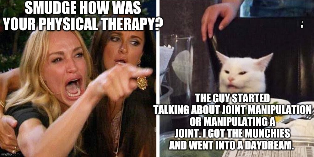 Smudge the cat | SMUDGE HOW WAS YOUR PHYSICAL THERAPY? J M; THE GUY STARTED TALKING ABOUT JOINT MANIPULATION OR MANIPULATING A JOINT. I GOT THE MUNCHIES AND WENT INTO A DAYDREAM. | image tagged in smudge the cat | made w/ Imgflip meme maker