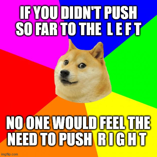 Advice Doge |  IF YOU DIDN'T PUSH SO FAR TO THE  L E F T; NO ONE WOULD FEEL THE NEED TO PUSH  R I G H T | image tagged in memes,advice doge | made w/ Imgflip meme maker