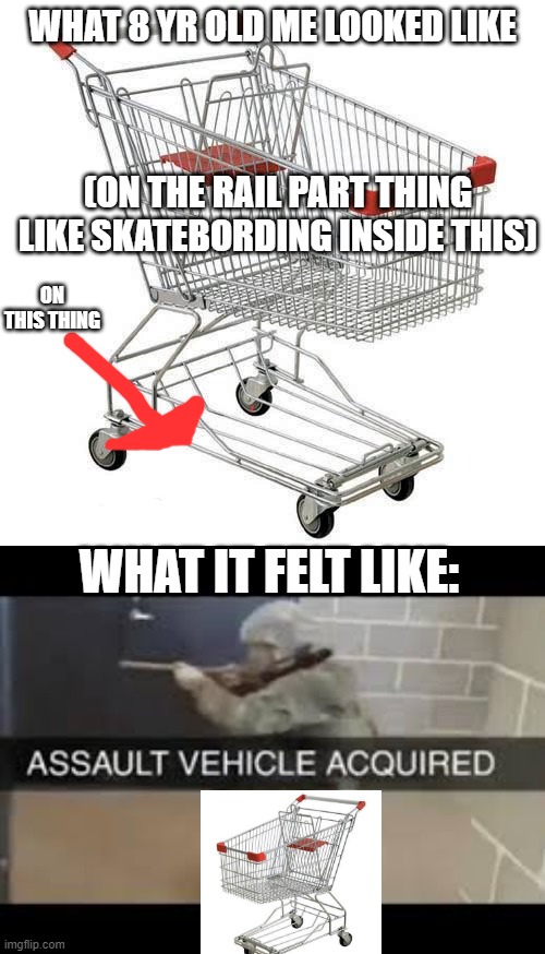 can you relate | WHAT 8 YR OLD ME LOOKED LIKE; (ON THE RAIL PART THING LIKE SKATEBORDING INSIDE THIS); ON THIS THING; WHAT IT FELT LIKE: | image tagged in shopping cart,assault vehicle acquired | made w/ Imgflip meme maker