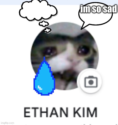 E | im so sad | image tagged in e | made w/ Imgflip meme maker