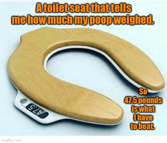 New way to check your weight. | A toilet seat that tells me how much my poop weighed. So 47.5 pounds is what I have to beat. | image tagged in toiletseat,scale,funny | made w/ Imgflip meme maker