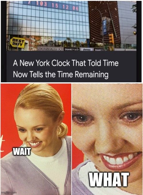 WAIT WHAT? |  WAIT; WHAT | image tagged in wait what | made w/ Imgflip meme maker