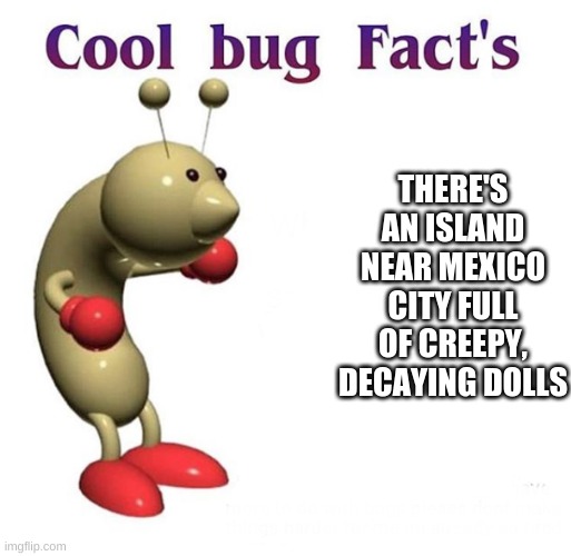 Cool Bug Facts | THERE'S AN ISLAND NEAR MEXICO CITY FULL OF CREEPY, DECAYING DOLLS | image tagged in cool bug facts | made w/ Imgflip meme maker