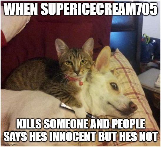 Supericecream705 not actually innocent | WHEN SUPERICECREAM705; KILLS SOMEONE AND PEOPLE SAYS HES INNOCENT BUT HES NOT | image tagged in warning killer cat,so true memes,memes,true story,so true,true | made w/ Imgflip meme maker