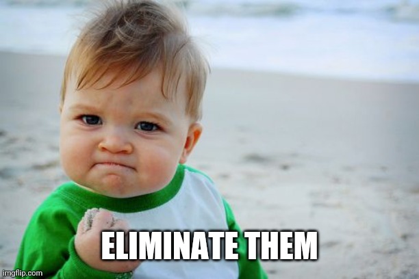 Success Kid Original Meme | ELIMINATE THEM | image tagged in memes,success kid original | made w/ Imgflip meme maker