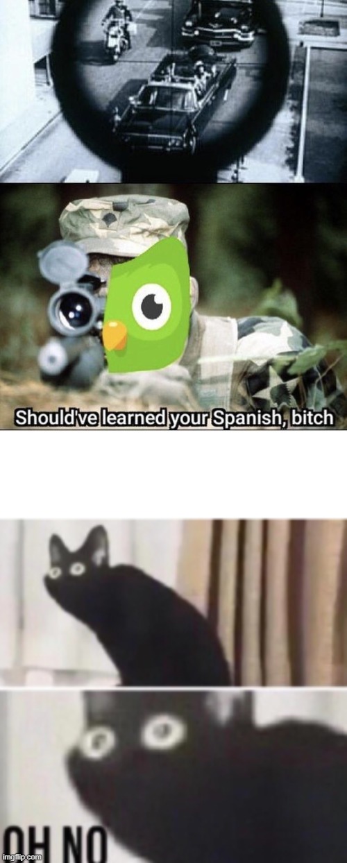 spanish or vanish | image tagged in oh no cat,duolingo gun | made w/ Imgflip meme maker