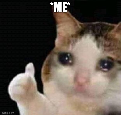 sad thumbs up cat | *ME* | image tagged in sad thumbs up cat | made w/ Imgflip meme maker