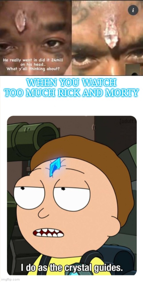 WHEN YOU WATCH TOO MUCH RICK AND MORTY | image tagged in i do as the crystal guides | made w/ Imgflip meme maker