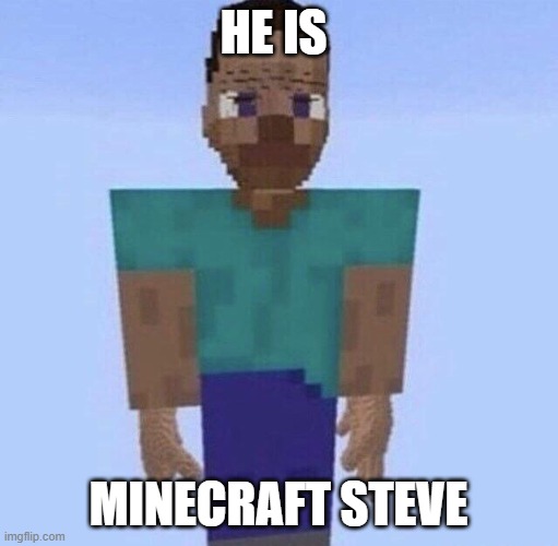 mc steave tall boi | HE IS MINECRAFT STEVE | image tagged in mc steave tall boi | made w/ Imgflip meme maker