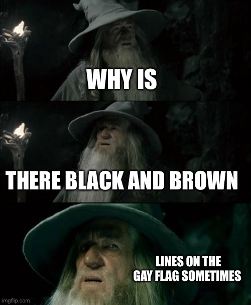 Confused Gandalf Meme | WHY IS; THERE BLACK AND BROWN; LINES ON THE GAY FLAG SOMETIMES | image tagged in memes,confused gandalf | made w/ Imgflip meme maker