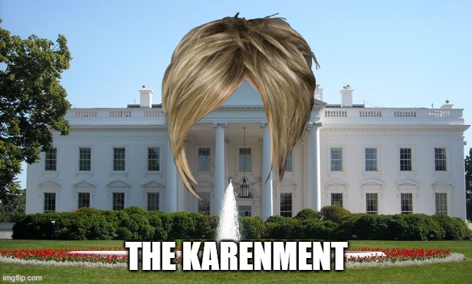 White House | THE KARENMENT | image tagged in white house | made w/ Imgflip meme maker