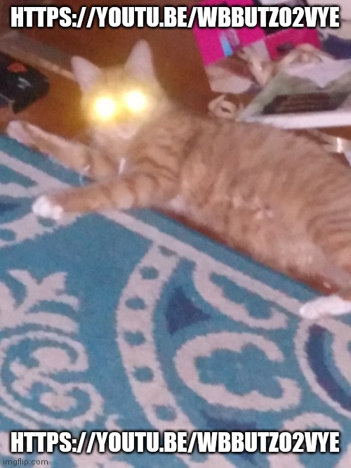 https://youtu.be/wbButZO2vyE | HTTPS://YOUTU.BE/WBBUTZO2VYE; HTTPS://YOUTU.BE/WBBUTZO2VYE | image tagged in cursed cat | made w/ Imgflip meme maker