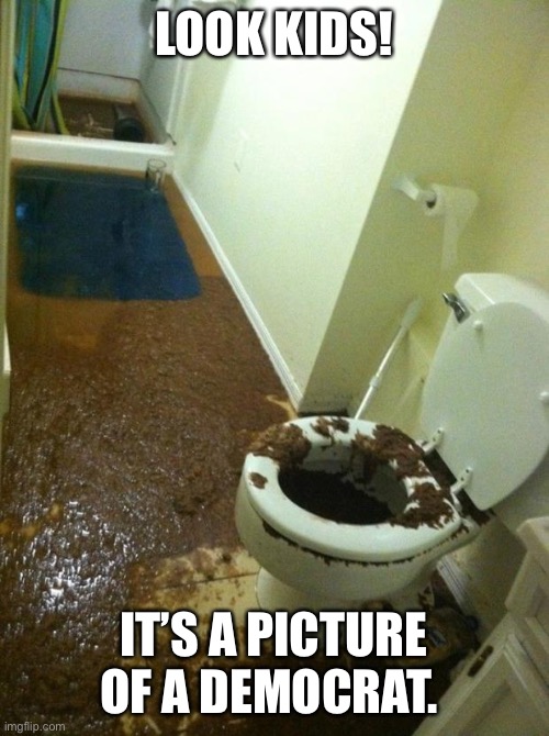poop | LOOK KIDS! IT’S A PICTURE OF A DEMOCRAT. | image tagged in poop | made w/ Imgflip meme maker
