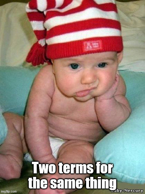 bored baby | Two terms for the same thing | image tagged in bored baby | made w/ Imgflip meme maker