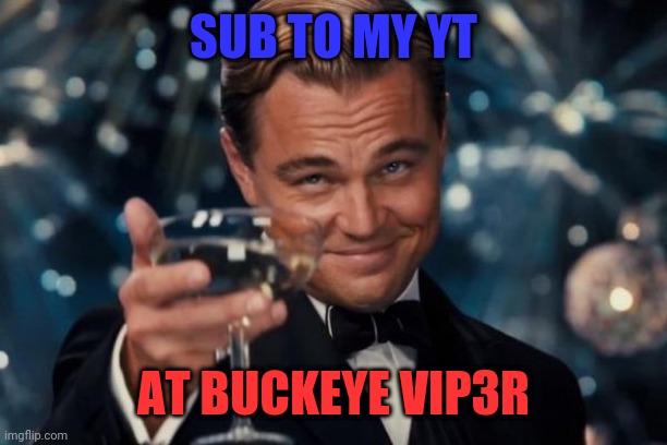 Yt | SUB TO MY YT; AT BUCKEYE VIP3R | image tagged in memes,leonardo dicaprio cheers | made w/ Imgflip meme maker