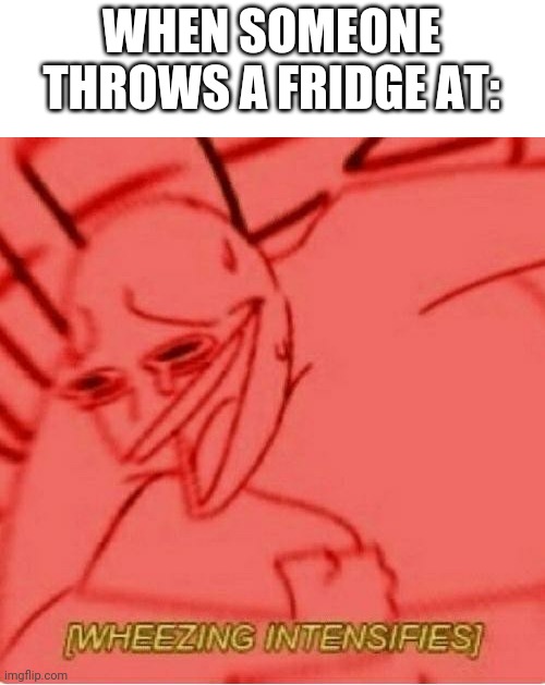 Wheeze | WHEN SOMEONE THROWS A FRIDGE AT: | image tagged in wheeze | made w/ Imgflip meme maker