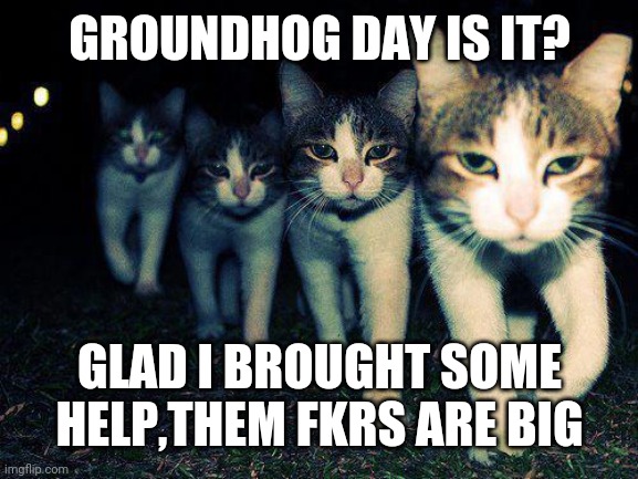 Wrong Neighboorhood Cats | GROUNDHOG DAY IS IT? GLAD I BROUGHT SOME HELP,THEM FKRS ARE BIG | image tagged in memes,wrong neighboorhood cats | made w/ Imgflip meme maker