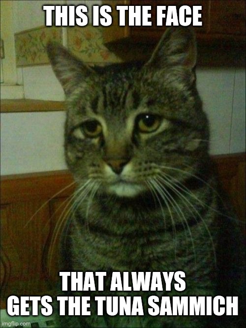 Depressed Cat | THIS IS THE FACE; THAT ALWAYS GETS THE TUNA SAMMICH | image tagged in memes,depressed cat | made w/ Imgflip meme maker