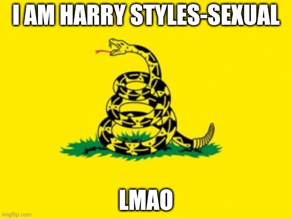 Idk | I AM HARRY STYLES-SEXUAL; LMAO | image tagged in gadsden flag | made w/ Imgflip meme maker