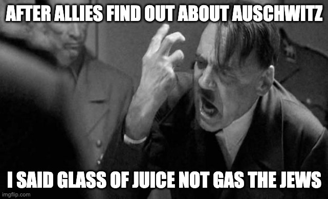 Angry Hitler | AFTER ALLIES FIND OUT ABOUT AUSCHWITZ; I SAID GLASS OF JUICE NOT GAS THE JEWS | image tagged in angry hitler | made w/ Imgflip meme maker