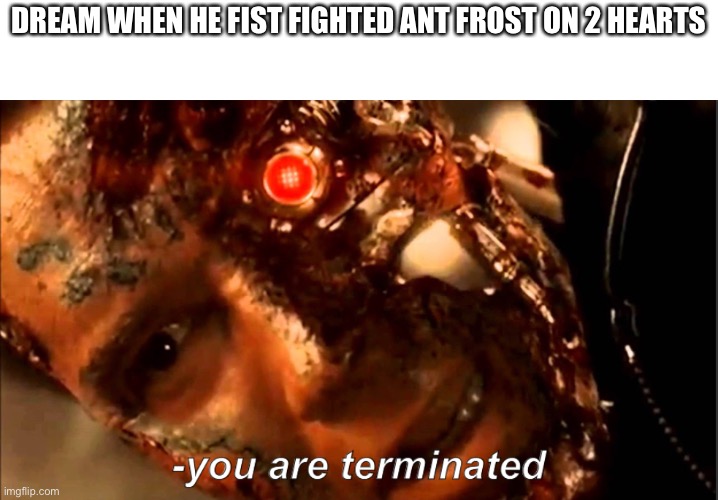 T3 rise of the machines again but better | DREAM WHEN HE FIST FIGHTED ANT FROST ON 2 HEARTS | image tagged in t3 rise of the machines again but better | made w/ Imgflip meme maker