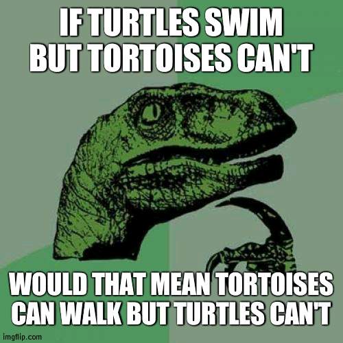 Well think about a turtle and a tortoise | IF TURTLES SWIM BUT TORTOISES CAN'T; WOULD THAT MEAN TORTOISES CAN WALK BUT TURTLES CAN'T | image tagged in memes,philosoraptor,turtle,tortoise | made w/ Imgflip meme maker