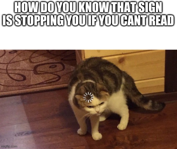 HOW DO YOU KNOW THAT SIGN IS STOPPING YOU IF YOU CANT READ | made w/ Imgflip meme maker