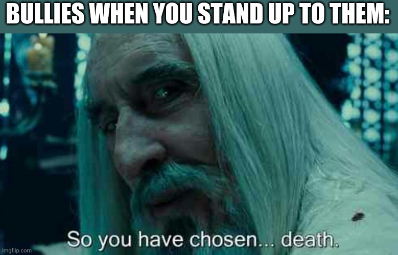LOL | BULLIES WHEN YOU STAND UP TO THEM: | image tagged in so you have chosen death,funny,school,bullies,lotr | made w/ Imgflip meme maker