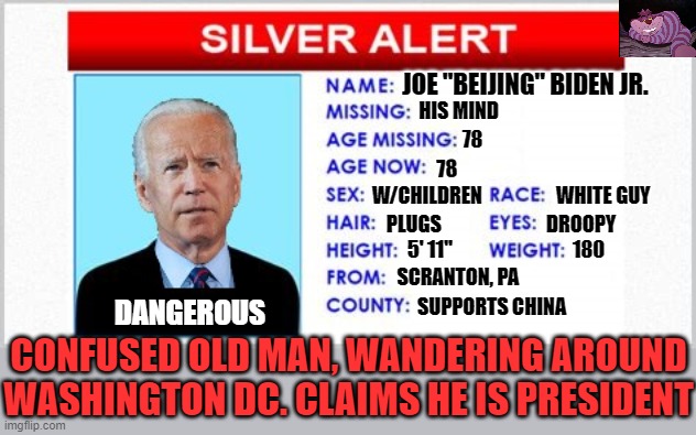 Who is actually running the Presidency? | JOE "BEIJING" BIDEN JR. HIS MIND; 78; 78; W/CHILDREN                   WHITE GUY; PLUGS                           DROOPY; 5' 11"                               180; DANGEROUS; SCRANTON, PA; SUPPORTS CHINA; CONFUSED OLD MAN, WANDERING AROUND WASHINGTON DC. CLAIMS HE IS PRESIDENT | image tagged in silver alert | made w/ Imgflip meme maker