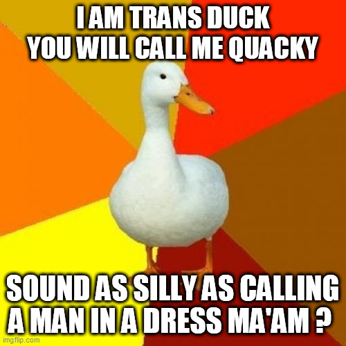 Tech Impaired Duck Meme - Imgflip