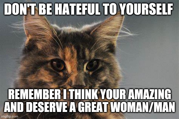The Cat Speaks Truth | DON'T BE HATEFUL TO YOURSELF; REMEMBER I THINK YOUR AMAZING AND DESERVE A GREAT WOMAN/MAN | image tagged in raycats 1st template,raycat,wholesome | made w/ Imgflip meme maker