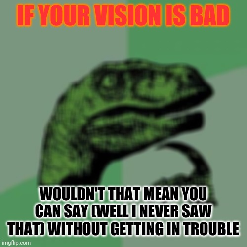 Bad vision my guy | IF YOUR VISION IS BAD; WOULDN'T THAT MEAN YOU CAN SAY (WELL I NEVER SAW THAT) WITHOUT GETTING IN TROUBLE | image tagged in memes,philosoraptor | made w/ Imgflip meme maker