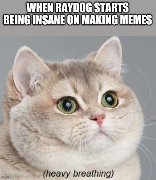 Heaving Breathing | WHEN RAYDOG STARTS BEING INSANE ON MAKING MEMES | image tagged in memes,heavy breathing cat,cats,raycat | made w/ Imgflip meme maker
