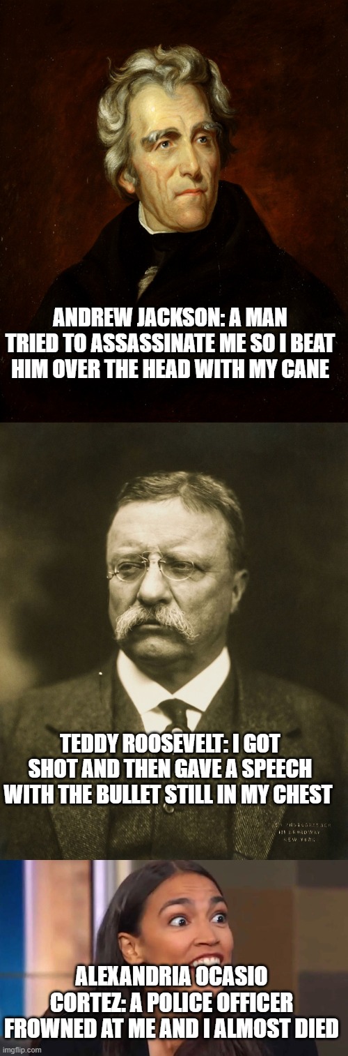 Profiles in Courage | ANDREW JACKSON: A MAN TRIED TO ASSASSINATE ME SO I BEAT HIM OVER THE HEAD WITH MY CANE; TEDDY ROOSEVELT: I GOT SHOT AND THEN GAVE A SPEECH WITH THE BULLET STILL IN MY CHEST; ALEXANDRIA OCASIO CORTEZ: A POLICE OFFICER FROWNED AT ME AND I ALMOST DIED | image tagged in president andrew jackson,teddy roosevelt,crazy aoc | made w/ Imgflip meme maker