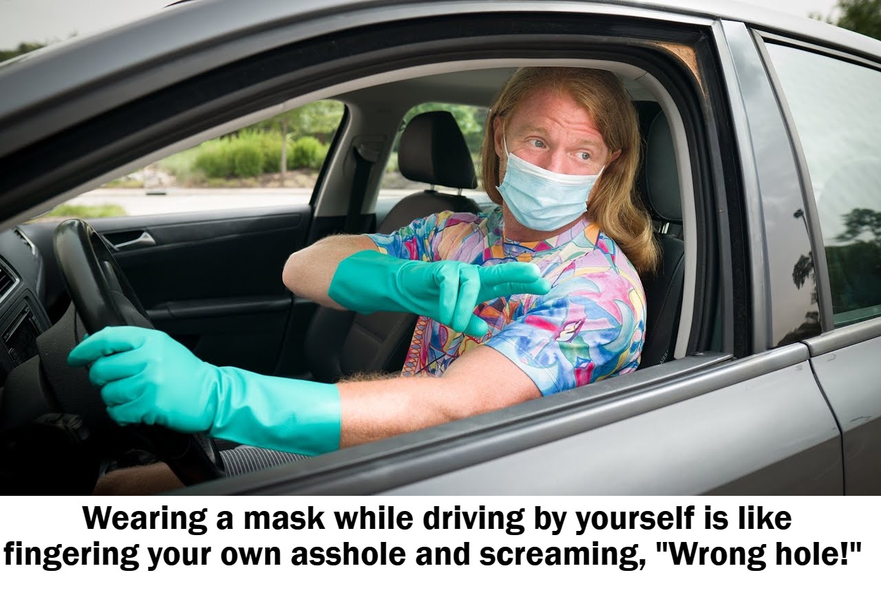 Wrong hole! | Wearing a mask while driving by yourself is like fingering your own asshole and screaming, "Wrong hole!" | image tagged in sheeple,liberal sheep,covidiots,hole in one,bogeyman,wrong hole | made w/ Imgflip meme maker