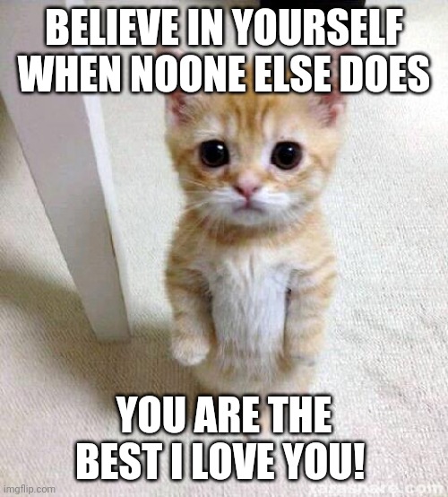 You are the best <3 | BELIEVE IN YOURSELF WHEN NOONE ELSE DOES; YOU ARE THE BEST I LOVE YOU! | image tagged in memes,cute cat,raycat,cats | made w/ Imgflip meme maker