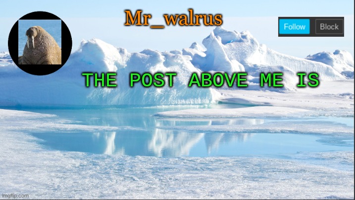 Mr_walrus | THE POST ABOVE ME IS | image tagged in mr_walrus | made w/ Imgflip meme maker