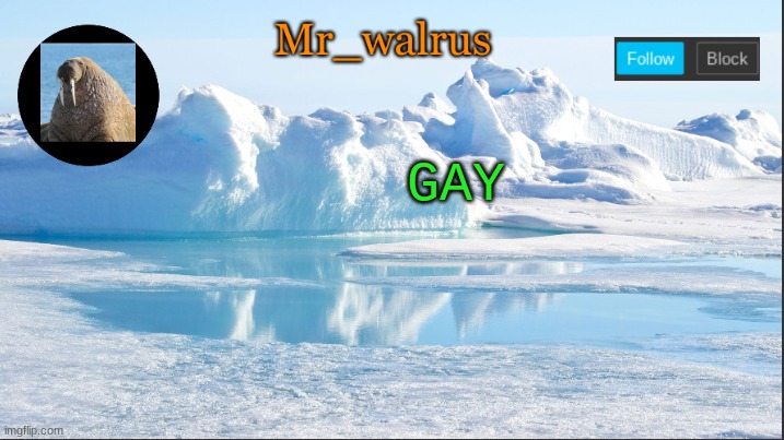 Mr_walrus | GAY | image tagged in mr_walrus | made w/ Imgflip meme maker