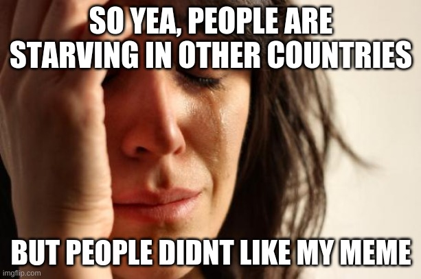 First World Problems Meme | SO YEA, PEOPLE ARE STARVING IN OTHER COUNTRIES BUT PEOPLE DIDNT LIKE MY MEME | image tagged in memes,first world problems | made w/ Imgflip meme maker