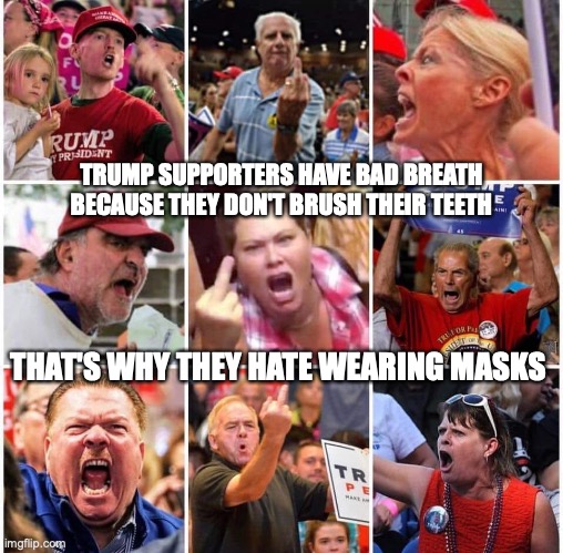 Triggered Trump supporters | TRUMP SUPPORTERS HAVE BAD BREATH BECAUSE THEY DON'T BRUSH THEIR TEETH; THAT'S WHY THEY HATE WEARING MASKS | image tagged in triggered trump supporters | made w/ Imgflip meme maker