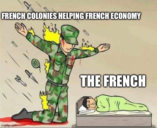 Soldier protecting sleeping child | FRENCH COLONIES HELPING FRENCH ECONOMY; THE FRENCH | image tagged in soldier protecting sleeping child | made w/ Imgflip meme maker
