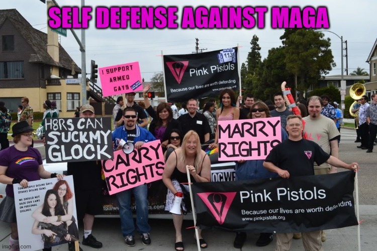 Pink Pistols | SELF DEFENSE AGAINST MAGA | image tagged in pink pistols | made w/ Imgflip meme maker