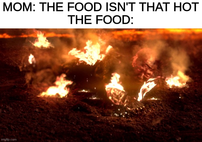 yea right | MOM: THE FOOD ISN'T THAT HOT
THE FOOD: | image tagged in anakin burning,star wars | made w/ Imgflip meme maker