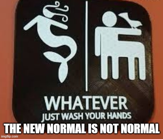 get over it I guess | THE NEW NORMAL IS NOT NORMAL | image tagged in transgender bathroom | made w/ Imgflip meme maker