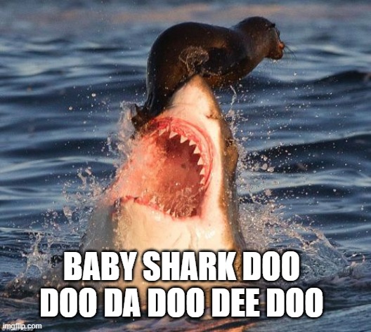 Travelonshark Meme | BABY SHARK DOO DOO DA DOO DEE DOO | image tagged in memes,travelonshark | made w/ Imgflip meme maker