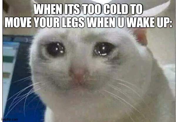 wRRRRYYYYY | WHEN ITS TOO COLD TO MOVE YOUR LEGS WHEN U WAKE UP: | image tagged in crying cat | made w/ Imgflip meme maker