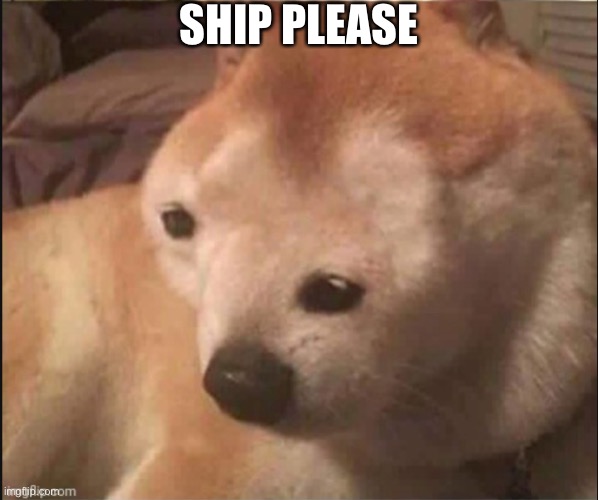 Bio in comments | SHIP PLEASE | image tagged in single | made w/ Imgflip meme maker
