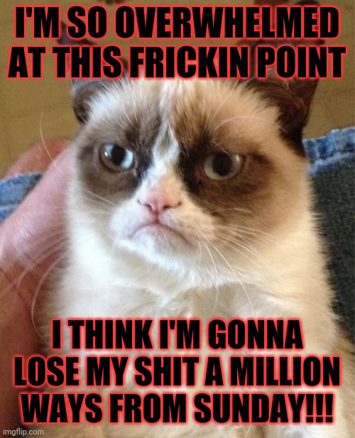 Grumpy Cat | I'M SO OVERWHELMED
AT THIS FRICKIN POINT; I THINK I'M GONNA LOSE MY SHIT A MILLION
WAYS FROM SUNDAY!!! | image tagged in memes,grumpy cat,savage memes | made w/ Imgflip meme maker